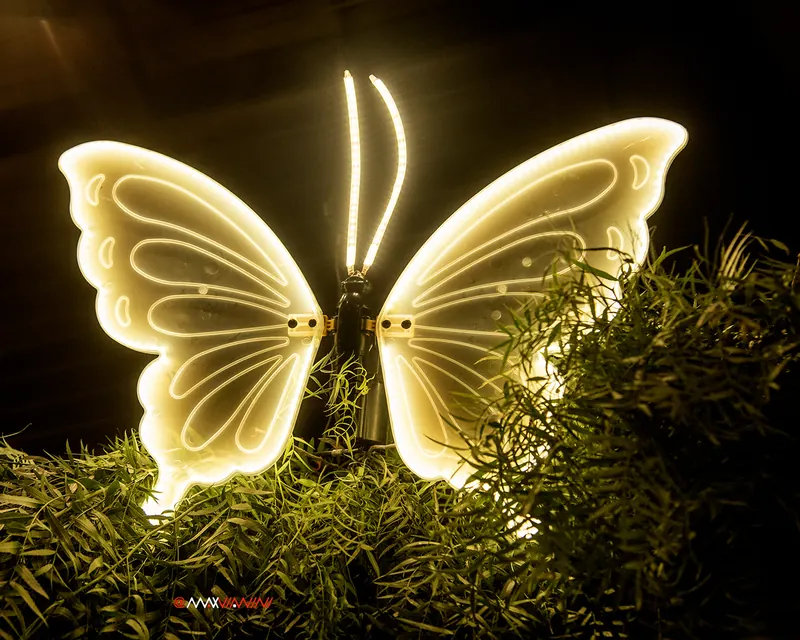 Asas de luz na decoração